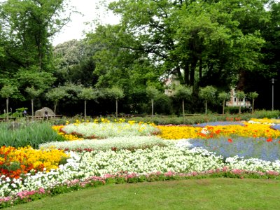 Stadtgarten Freiburg - DSC06712