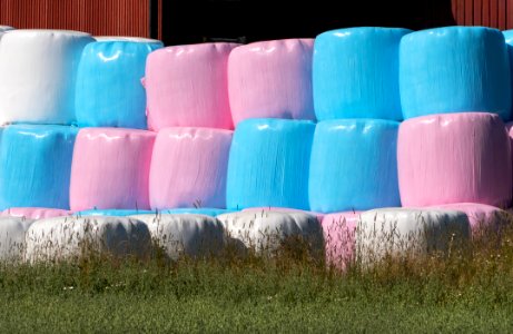 Stack of pink white and blue silage bales