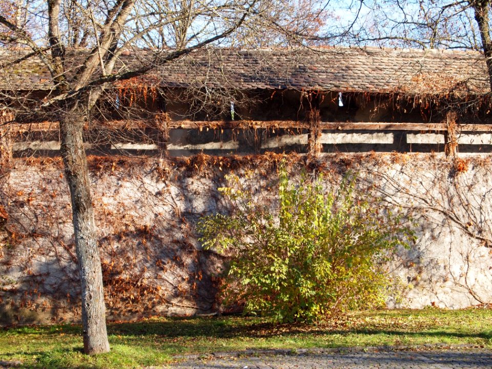 Stadtmauer Amtsgerichtsstrasse-4