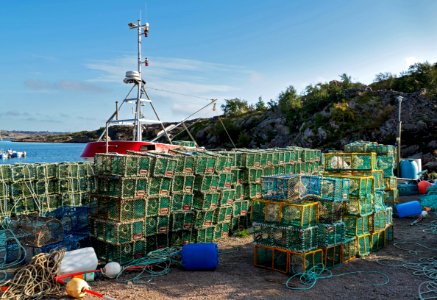 Stacks of lobster traps in Norra Grundsund 11 photo