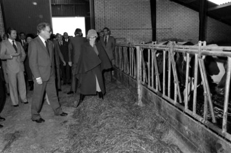 Staatsbezoek Zweeds Koninklijk Paar aan Nederland bezoek veebedrijf heer Zeistr, Bestanddeelnr 928-8529