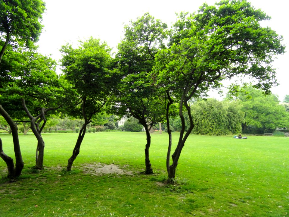 Stadtgarten Freiburg - DSC06715