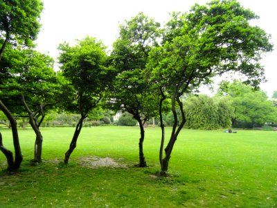 Stadtgarten Freiburg - DSC06715