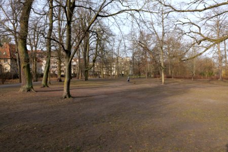 Stadtpark Steglitz 2021-02-24 12