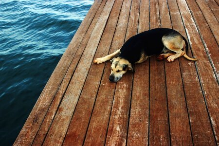 Rest lake holidays