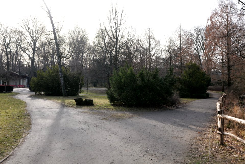 Stadtpark Steglitz 2021-02-24 07