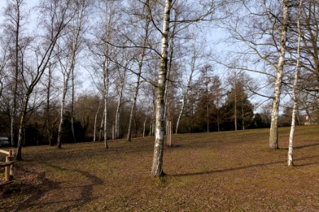 Stadtpark Steglitz 2021-02-24 05