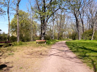Stadtpark Merseburg (3)
