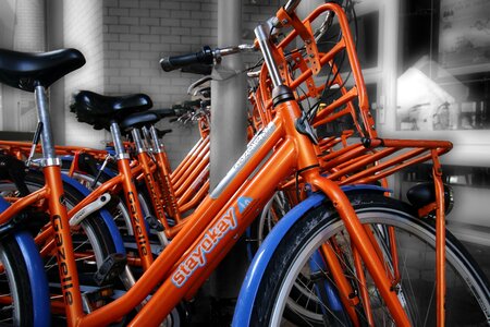 Bicycle rental rent tourism