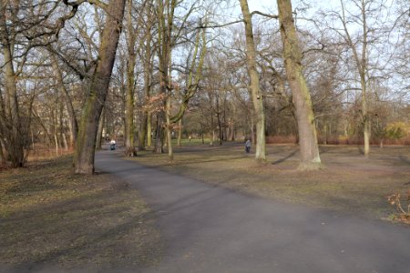 Stadtpark Steglitz 2021-02-24 14