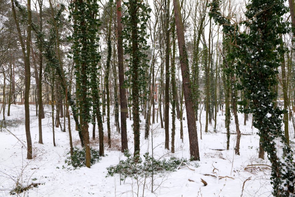 Stadtpark Konradsberg Hennigsdorf with snow 2021-02-09 02