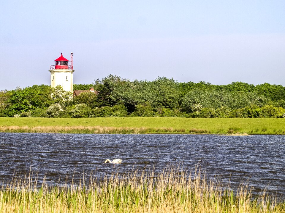 Lake water nature