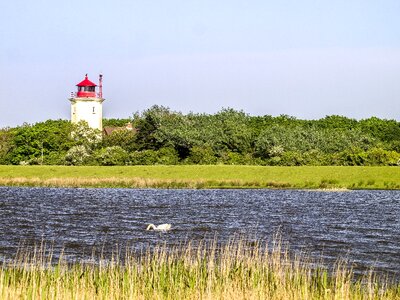 Lake water nature