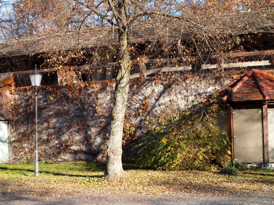 Stadtmauer Amtsgerichtsstrasse-5