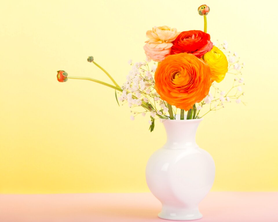 Still life orange spring