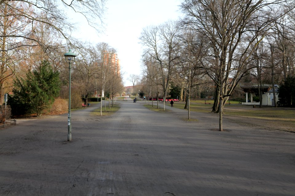 Stadtpark Steglitz 2021-02-24 11