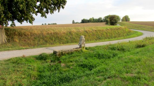 Staeffeleinsbrunnen 04