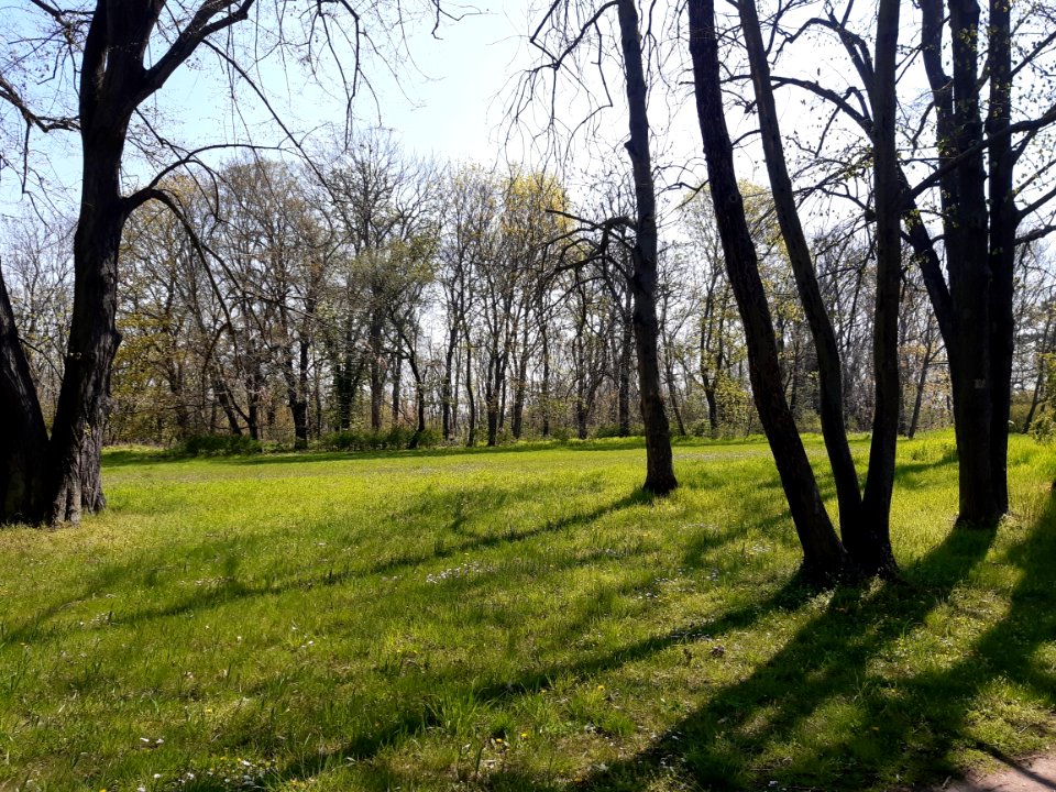 Stadtpark Merseburg (2)