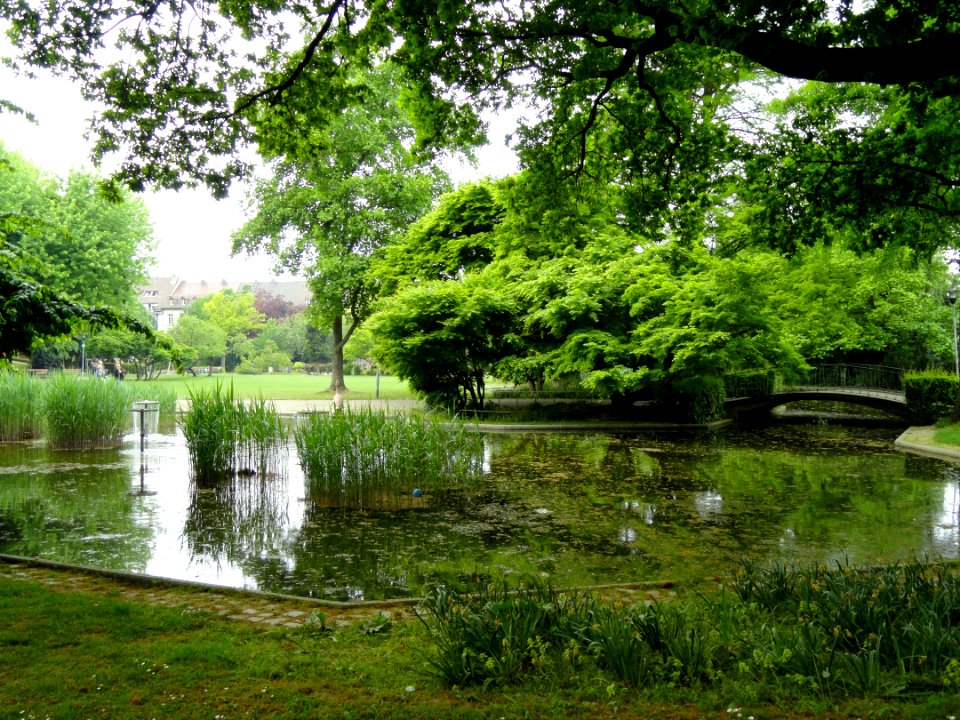 Stadtgarten Freiburg - DSC06711