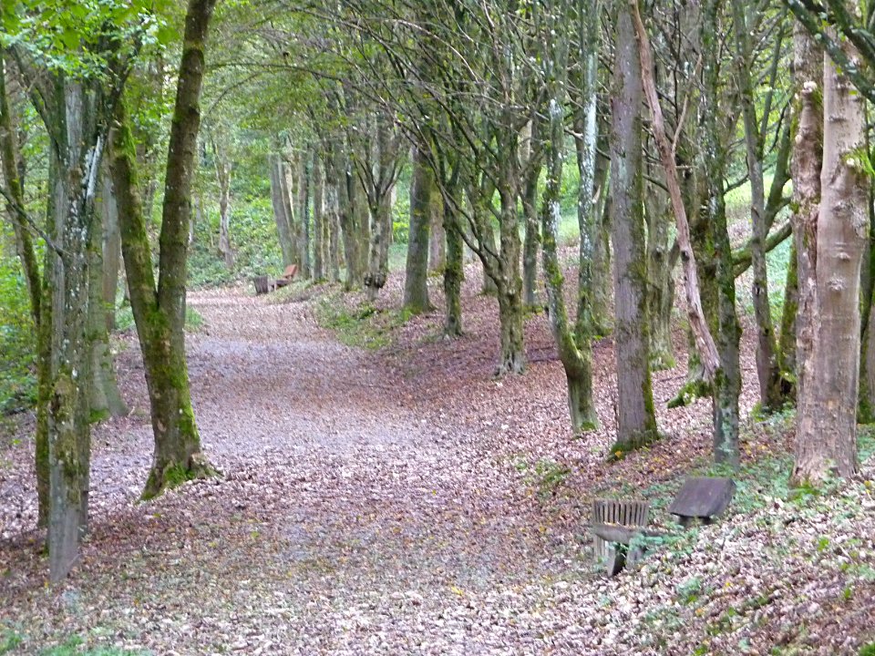 Stadtpark Kainzenhof