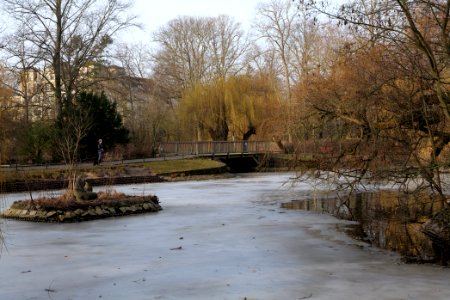 Stadtpark Steglitz 2021-02-24 09