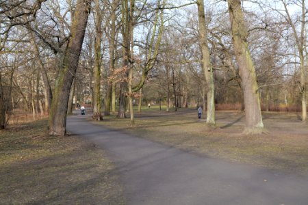 Stadtpark Steglitz 2021-02-24 13