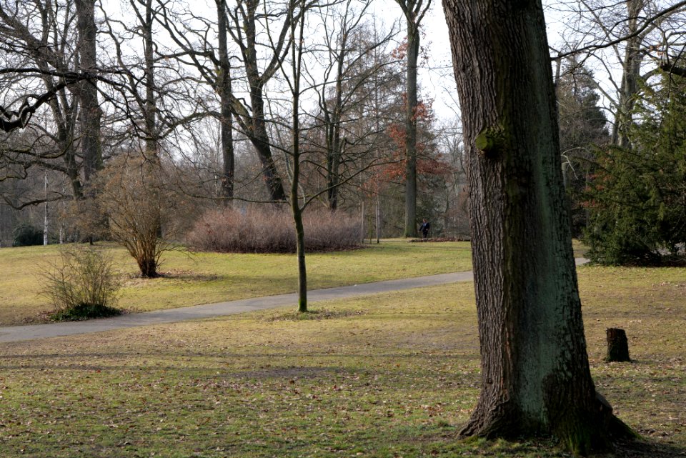 Stadtpark Steglitz 2021-02-24 02