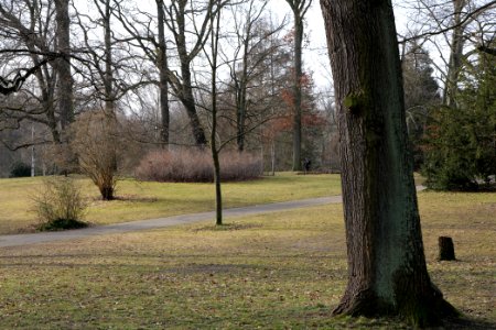 Stadtpark Steglitz 2021-02-24 02