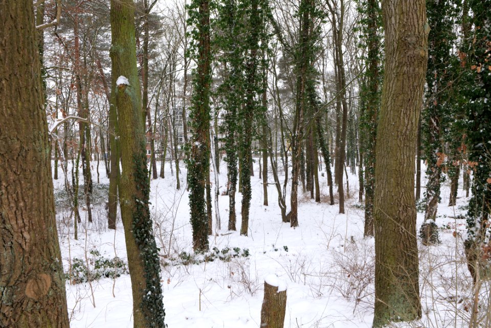Stadtpark Konradsberg Hennigsdorf with snow 2021-02-09 01