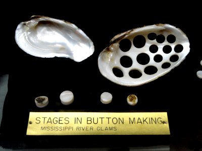 Stages in button making - Pacific Grove Museum of Natural History - DSC06589