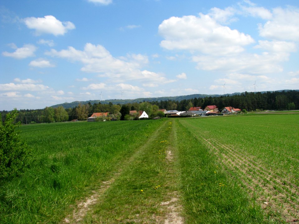 Stadlhof (Sengenthal)