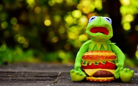Hamburger funny animal