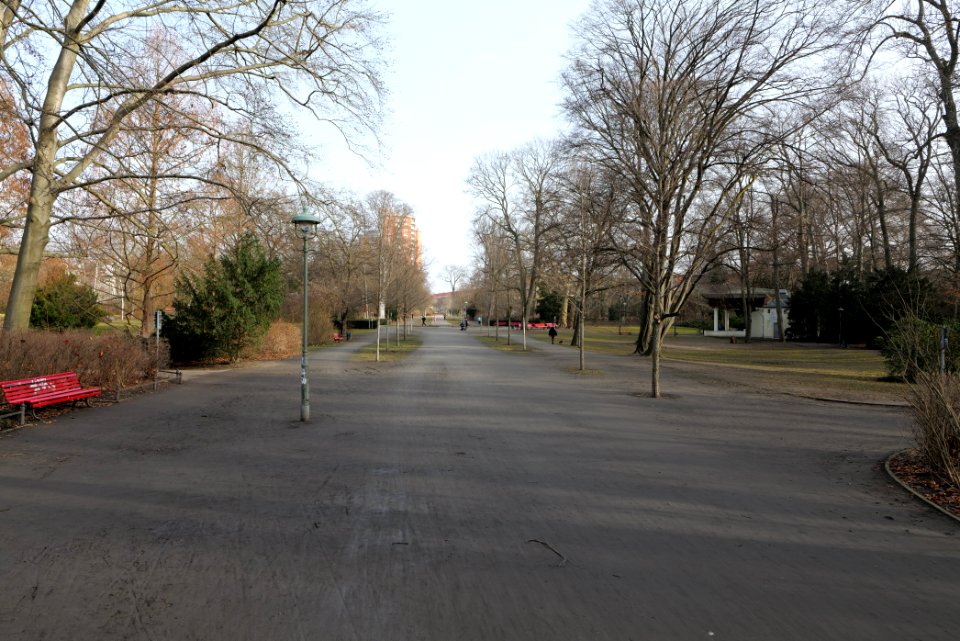 Stadtpark Steglitz 2021-02-24 10