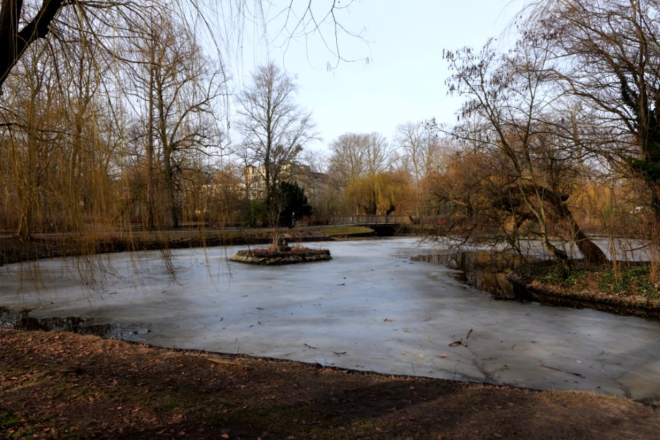 Stadtpark Steglitz 2021-02-24 08