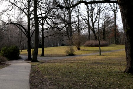Stadtpark Steglitz 2021-02-24 04