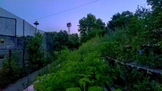 Stadion Metalurg 2019-06