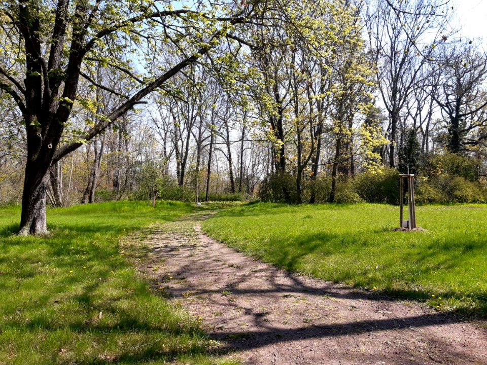 Stadtpark Merseburg (4)