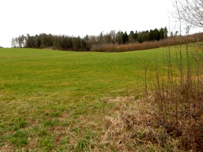 Staatswald Galm beim Galmfeld