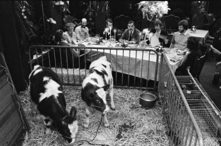 Staatssecretaris Ploeg bij het kerstdiner van de Stichting Lekker Dier op de vo, Bestanddeelnr 932-4450