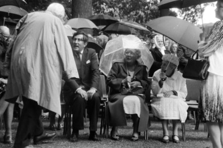 Staatssecretaris Gerard Wallis de Vries in gesprek met prinses Juliana, Bestanddeelnr 930-9878