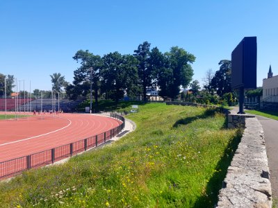 Stadion OSiR Racibórz (5)