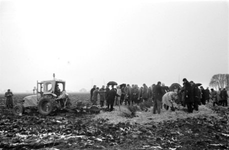 Staatssecretaris CRM mr. H. J. van der Poel plant eerste boom voor recreatiegebi, Bestanddeelnr 923-4183