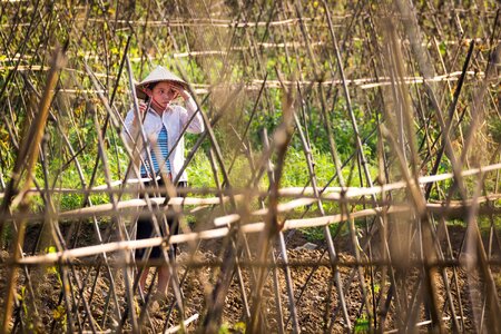 Rural asia vietnam