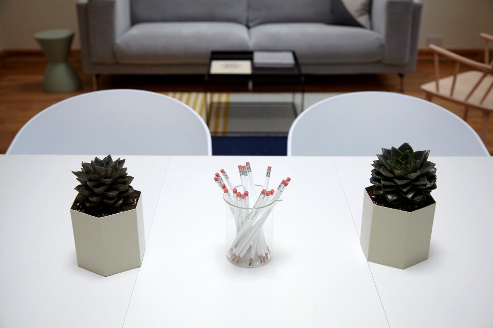 Pot plants room table
