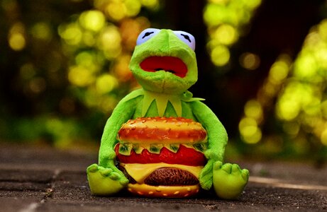 Hamburger funny animal