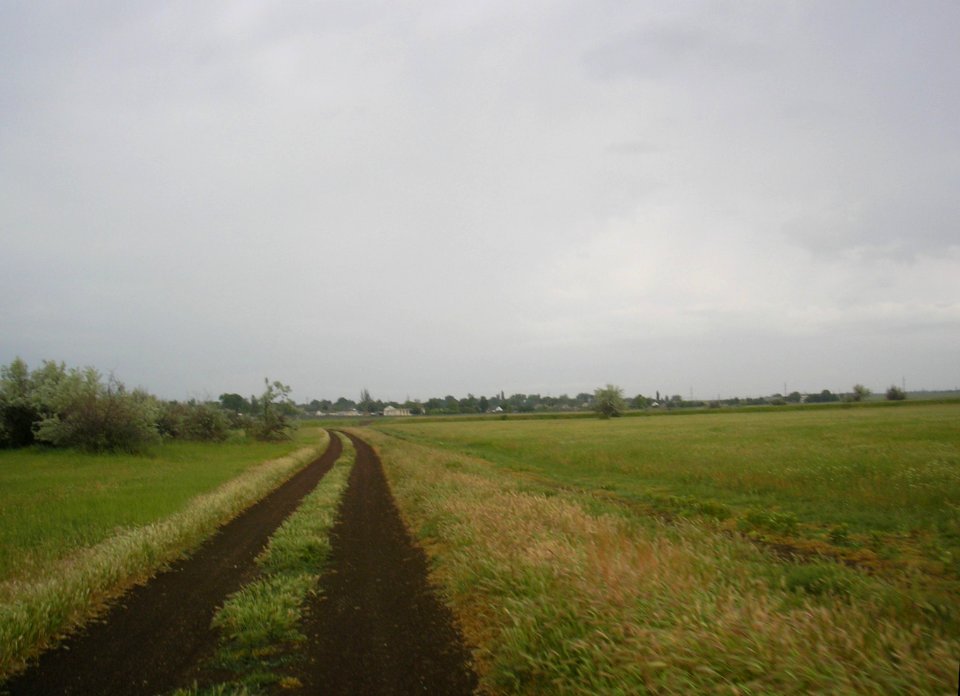 StalnoeDzh 5