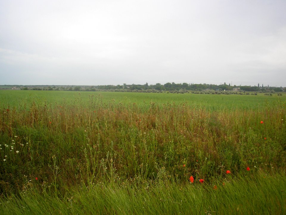StalnoeDzh 2