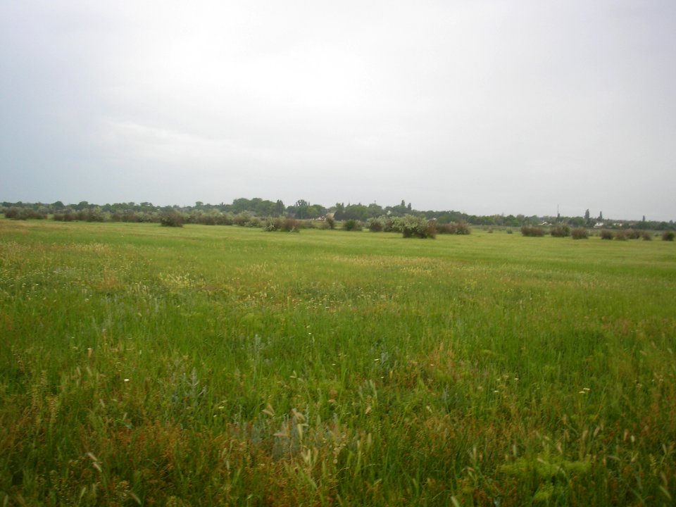 StalnoeDzh 3