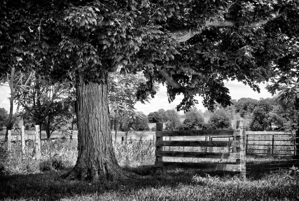 Sky rural country barn