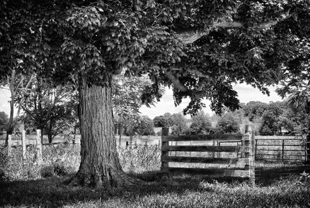 Sky rural country barn